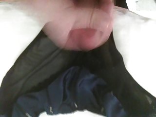 Another Video of me cumming on my ex wifes panties
